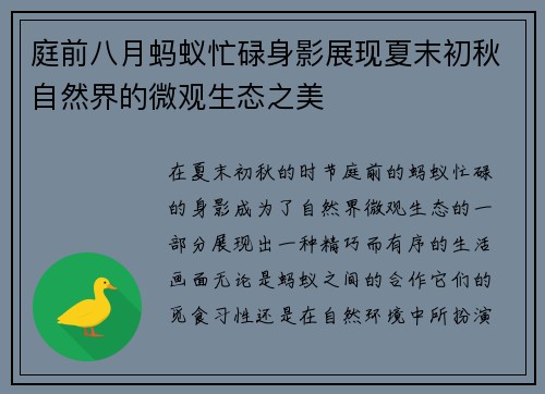庭前八月蚂蚁忙碌身影展现夏末初秋自然界的微观生态之美 庭前八月蚂蚁忙碌身影展现夏末初秋自然界的微观生态之美